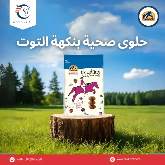 كافالفيت - تصميم سوشيال ميديا 60 | أعمال MAZCODEX
