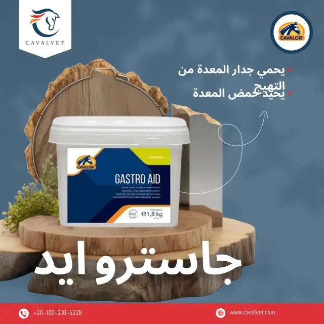 كافالفيت - تصميم سوشيال ميديا 63 | أعمال MAZCODEX
