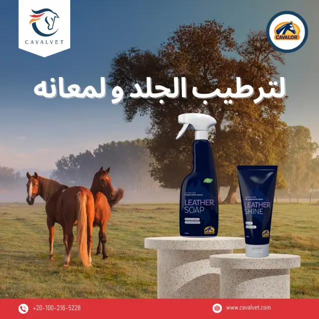 كافالفيت - تصميم سوشيال ميديا 65 | أعمال MAZCODEX