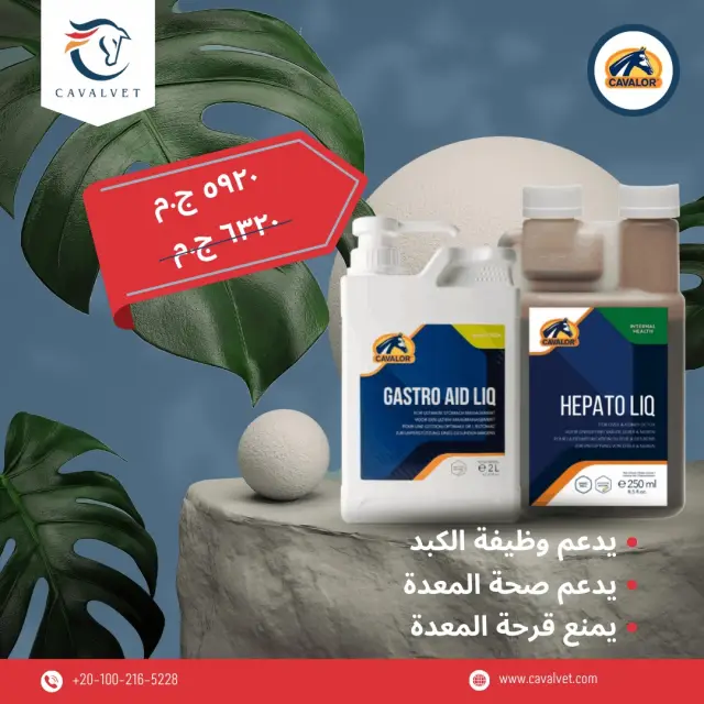 كافالفيت - تصميم سوشيال ميديا 69 | أعمال MAZCODEX