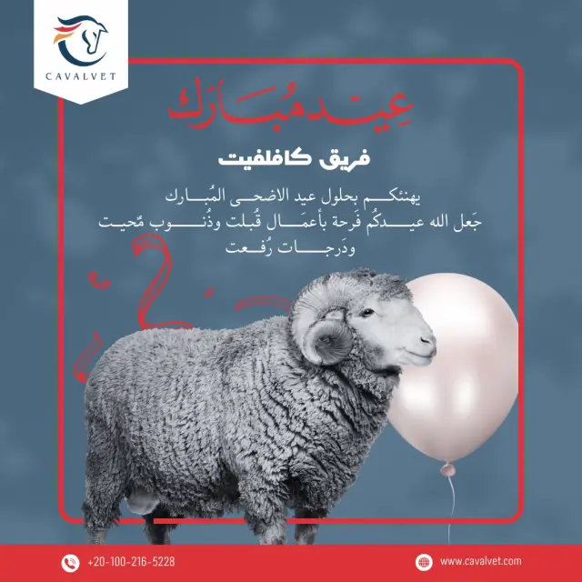 كافالفيت - تصميم سوشيال ميديا 71 | أعمال MAZCODEX
