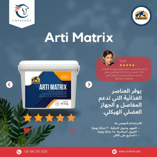 كافالفيت - تصميم سوشيال ميديا 73 | أعمال MAZCODEX