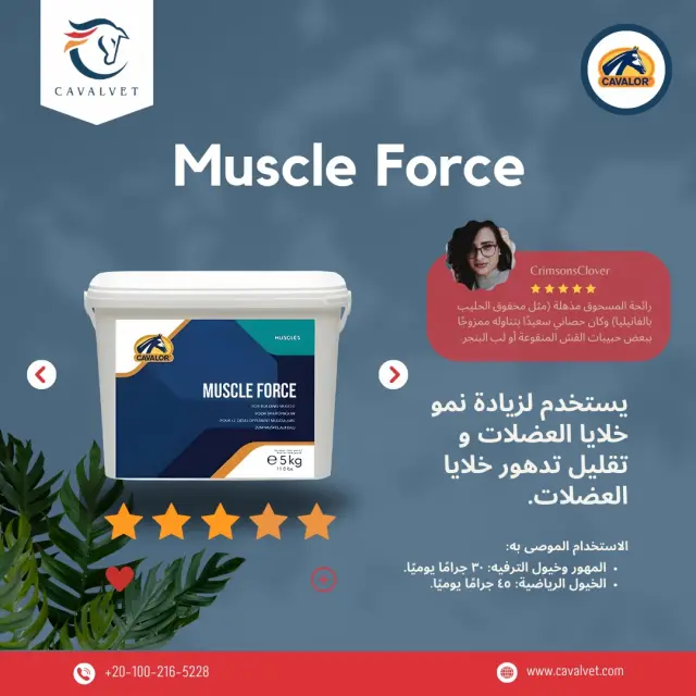 كافالفيت - تصميم سوشيال ميديا 74 | أعمال MAZCODEX