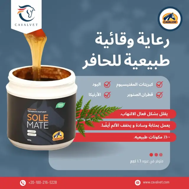 كافالفيت - تصميم سوشيال ميديا 76 | أعمال MAZCODEX