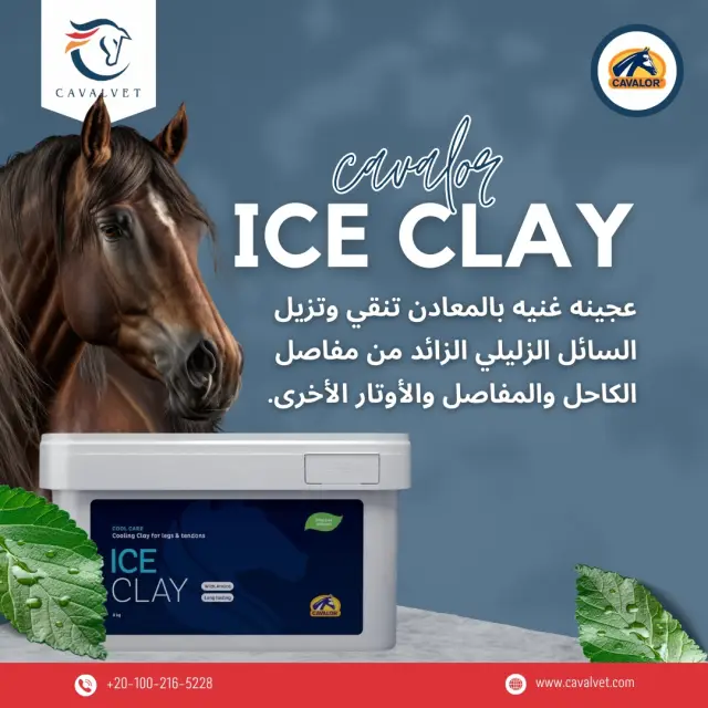 كافالفيت - تصميم سوشيال ميديا 77 | أعمال MAZCODEX