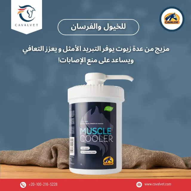 كافالفيت - تصميم سوشيال ميديا 78 | أعمال MAZCODEX