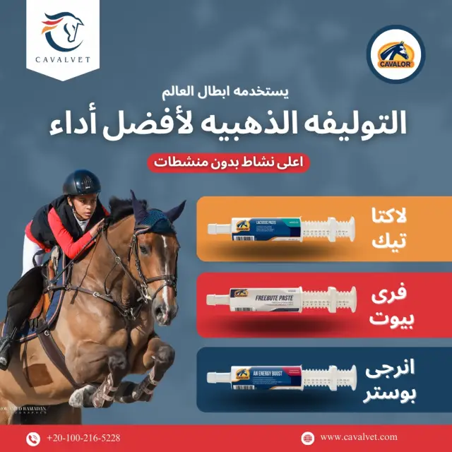 كافالفيت - تصميم سوشيال ميديا 81 | أعمال MAZCODEX