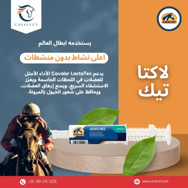 كافالفيت - تصميم سوشيال ميديا 82 | أعمال MAZCODEX