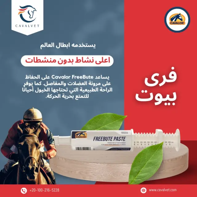 كافالفيت - تصميم سوشيال ميديا 83 | أعمال MAZCODEX