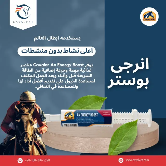 كافالفيت - تصميم سوشيال ميديا 84 | أعمال MAZCODEX
