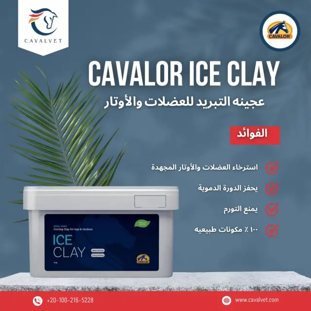 كافالفيت - تصميم سوشيال ميديا 86 | أعمال MAZCODEX