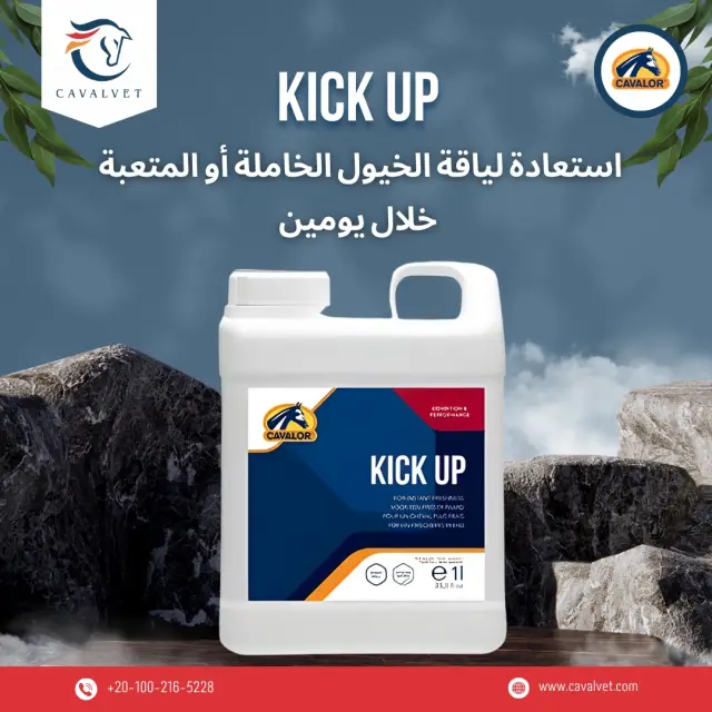 كافالفيت - تصميم سوشيال ميديا 88 | أعمال MAZCODEX