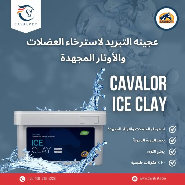 كافالفيت - تصميم سوشيال ميديا 91 | أعمال MAZCODEX