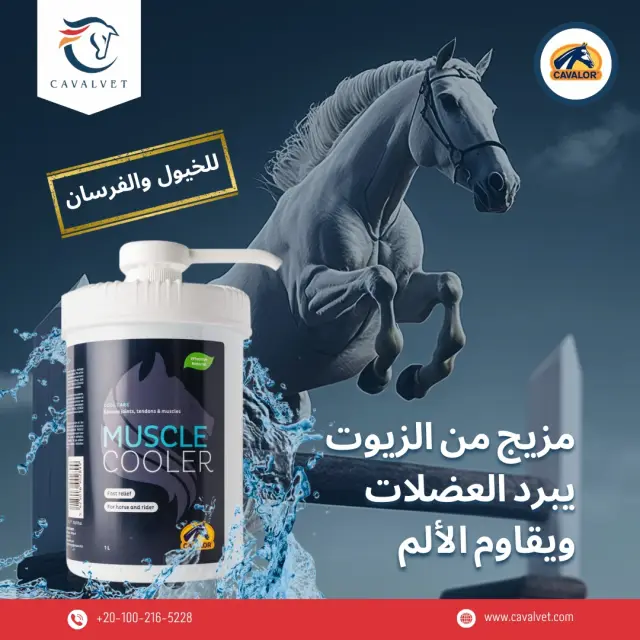 كافالفيت - تصميم سوشيال ميديا 92 | أعمال MAZCODEX
