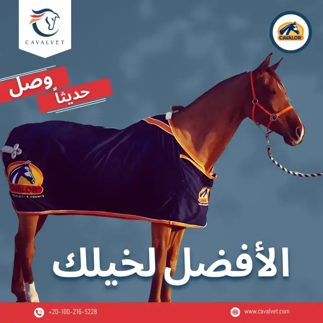 كافالفيت - تصميم سوشيال ميديا 94 | أعمال MAZCODEX