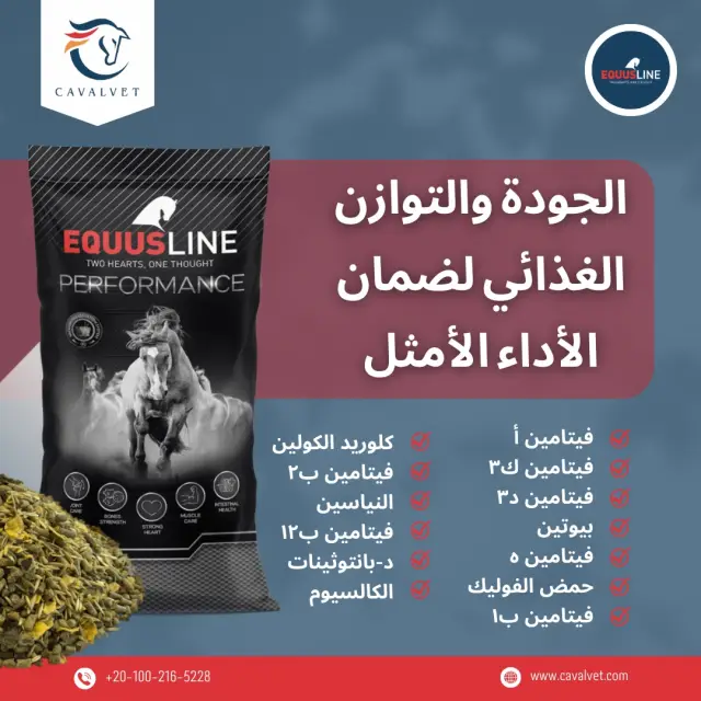 كافالفيت - تصميم سوشيال ميديا 95 | أعمال MAZCODEX
