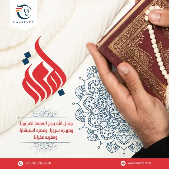 كافالفيت - تصميم سوشيال ميديا 96 | أعمال MAZCODEX