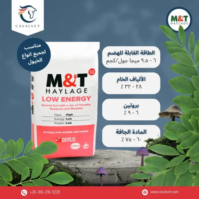 كافالفيت - تصميم سوشيال ميديا 97 | أعمال MAZCODEX