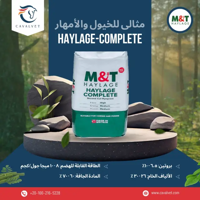 كافالفيت - تصميم سوشيال ميديا 99 | أعمال MAZCODEX