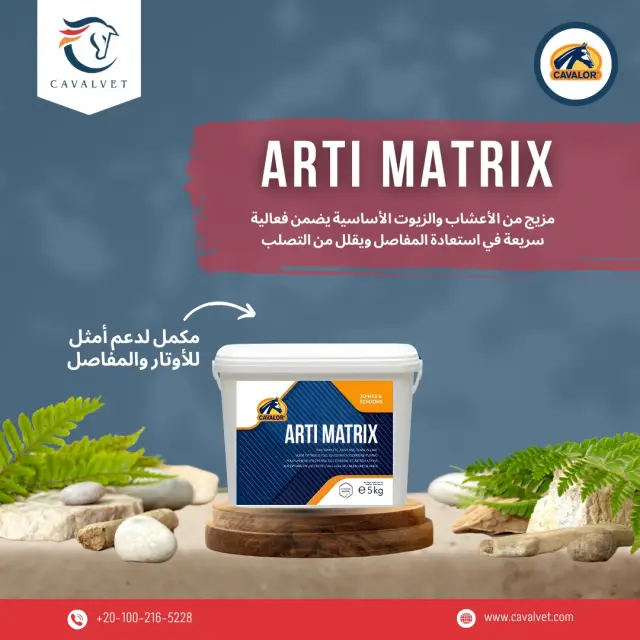 كافالفيت - تصميم سوشيال ميديا 101 | أعمال MAZCODEX