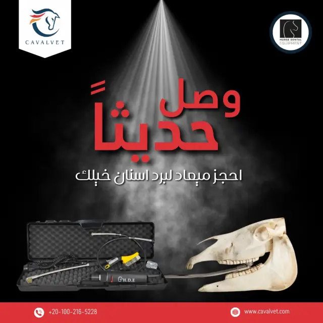 كافالفيت - تصميم سوشيال ميديا 102 | أعمال MAZCODEX