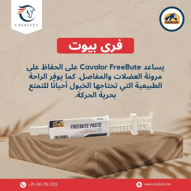 كافالفيت - تصميم سوشيال ميديا 109 | أعمال MAZCODEX