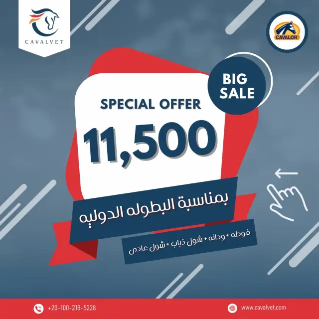 كافالفيت - تصميم سوشيال ميديا 112 | أعمال MAZCODEX
