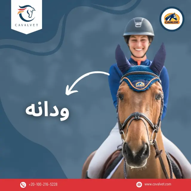 كافالفيت - تصميم سوشيال ميديا 113 | أعمال MAZCODEX