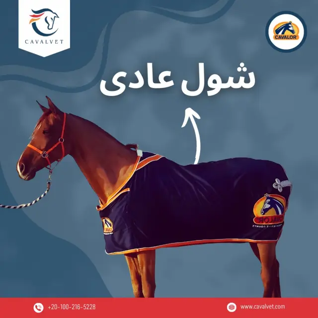 كافالفيت - تصميم سوشيال ميديا 115 | أعمال MAZCODEX