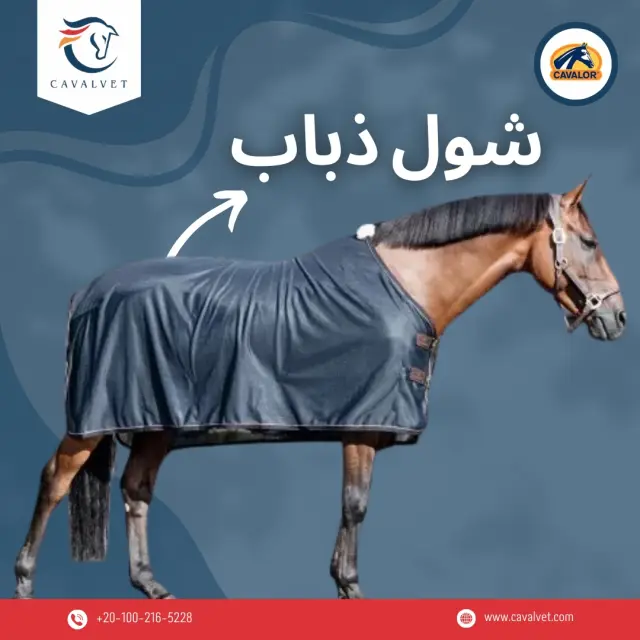 كافالفيت - تصميم سوشيال ميديا 116 | أعمال MAZCODEX