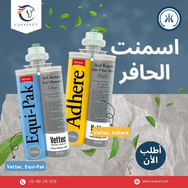 كافالفيت - تصميم سوشيال ميديا 119 | أعمال MAZCODEX