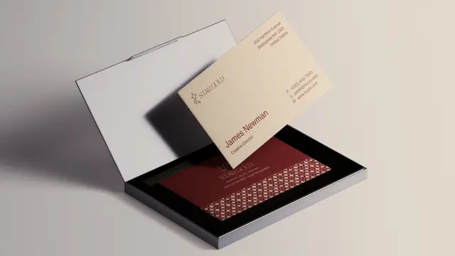 ستار جولد - مطبوعات ومواد دعائية 29 | أعمال MAZCODEX