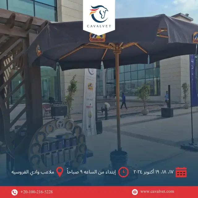 كافالفيت - تصميم سوشيال ميديا 4 | أعمال MAZCODEX
