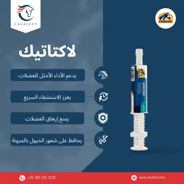 كافالفيت - تصميم سوشيال ميديا 5 | أعمال MAZCODEX