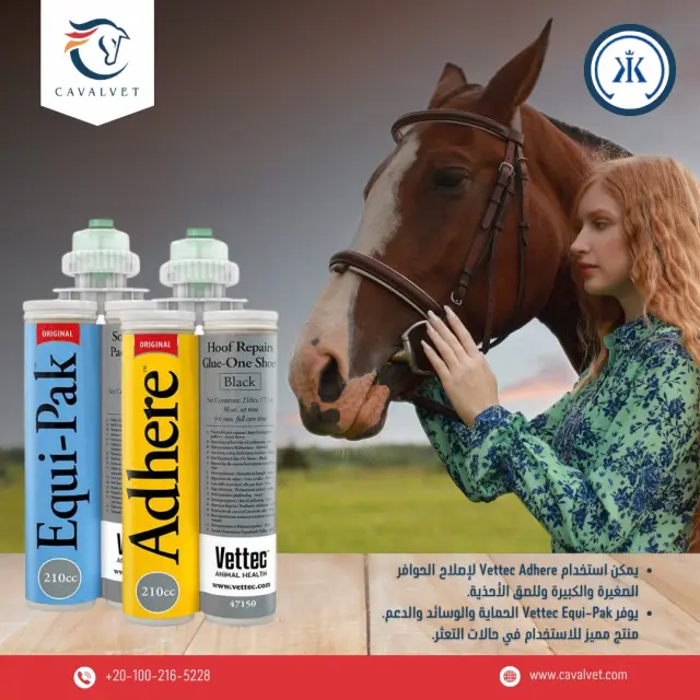 كافالفيت - تصميم سوشيال ميديا 6 | أعمال MAZCODEX