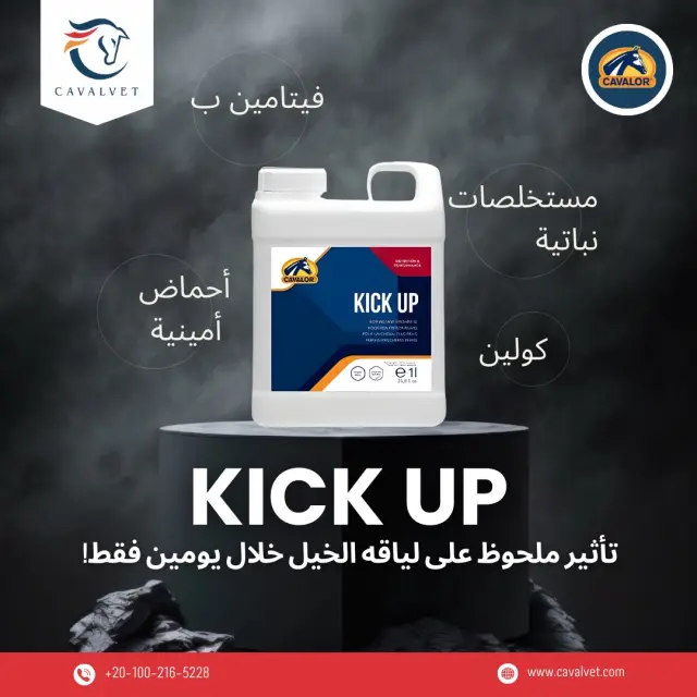 كافالفيت - تصميم سوشيال ميديا 8 | أعمال MAZCODEX
