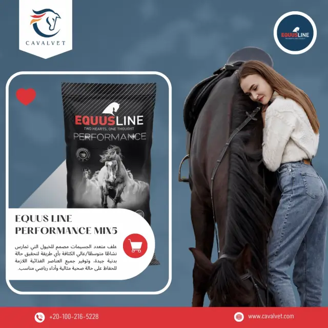 كافالفيت - تصميم سوشيال ميديا 9 | أعمال MAZCODEX