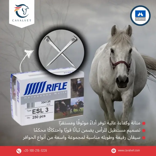 كافالفيت - تصميم سوشيال ميديا 17 | أعمال MAZCODEX