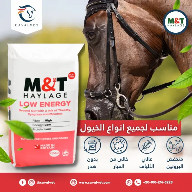 كافالفيت - تصميم سوشيال ميديا 30 | أعمال MAZCODEX