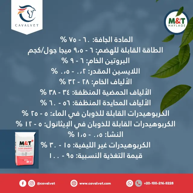 كافالفيت - تصميم سوشيال ميديا 31 | أعمال MAZCODEX