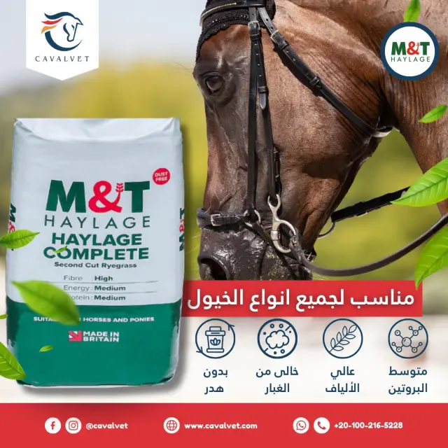 كافالفيت - تصميم سوشيال ميديا 32 | أعمال MAZCODEX