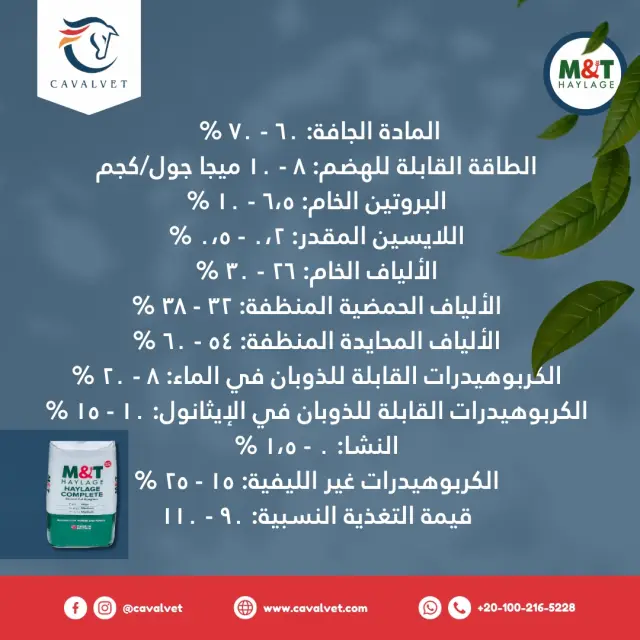 كافالفيت - تصميم سوشيال ميديا 33 | أعمال MAZCODEX