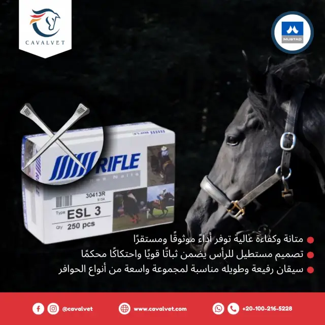 كافالفيت - تصميم سوشيال ميديا 36 | أعمال MAZCODEX