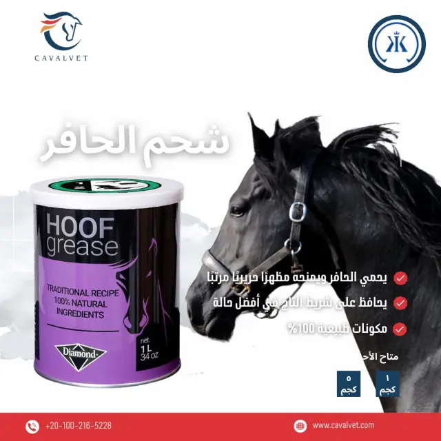 كافالفيت - تصميم سوشيال ميديا 44 | أعمال MAZCODEX