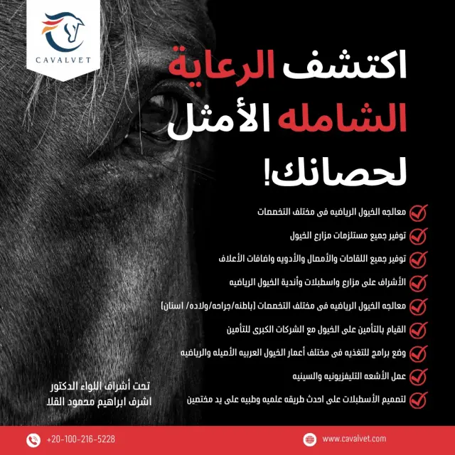 كافالفيت - تصميم سوشيال ميديا 49 | أعمال MAZCODEX