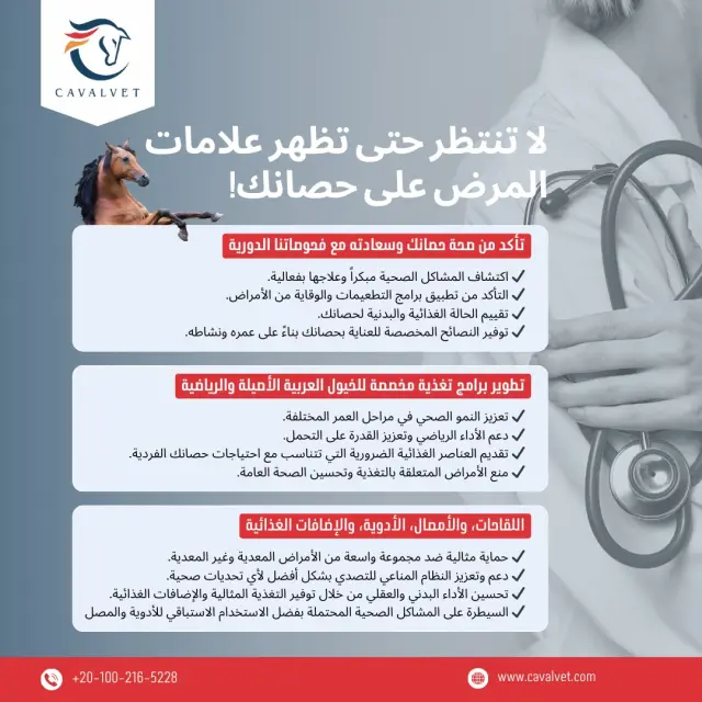 كافالفيت - تصميم سوشيال ميديا 50 | أعمال MAZCODEX