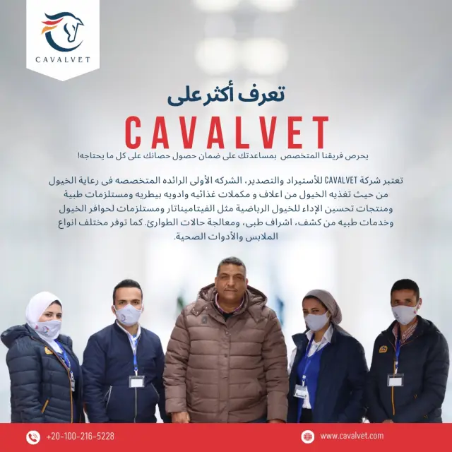 كافالفيت - تصميم سوشيال ميديا 52 | أعمال MAZCODEX