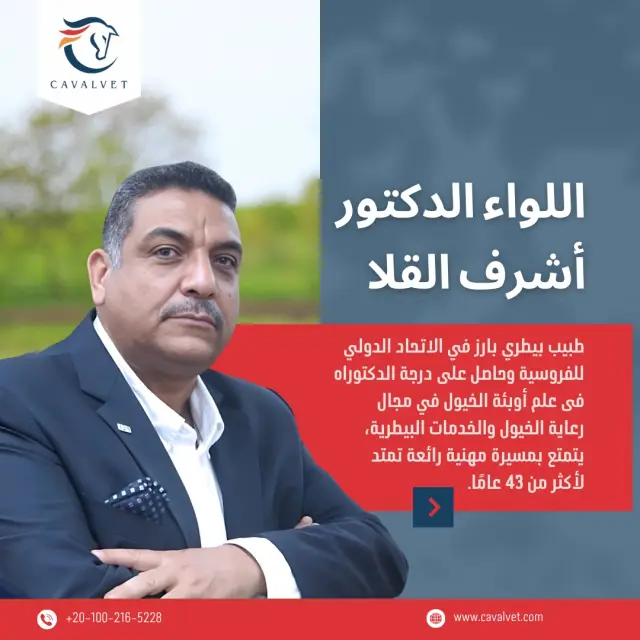 كافالفيت - تصميم سوشيال ميديا 53 | أعمال MAZCODEX