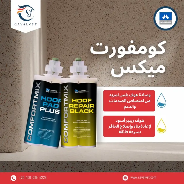 كافالفيت - تصميم سوشيال ميديا 55 | أعمال MAZCODEX